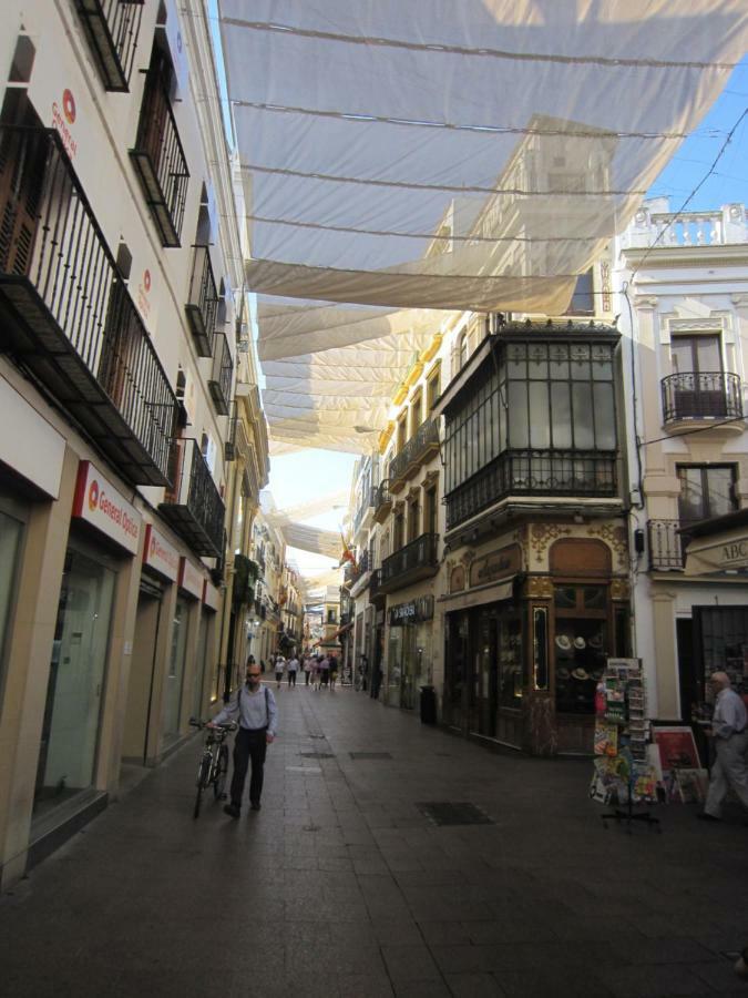 Appartement Céntrico Plaza Del Salvador